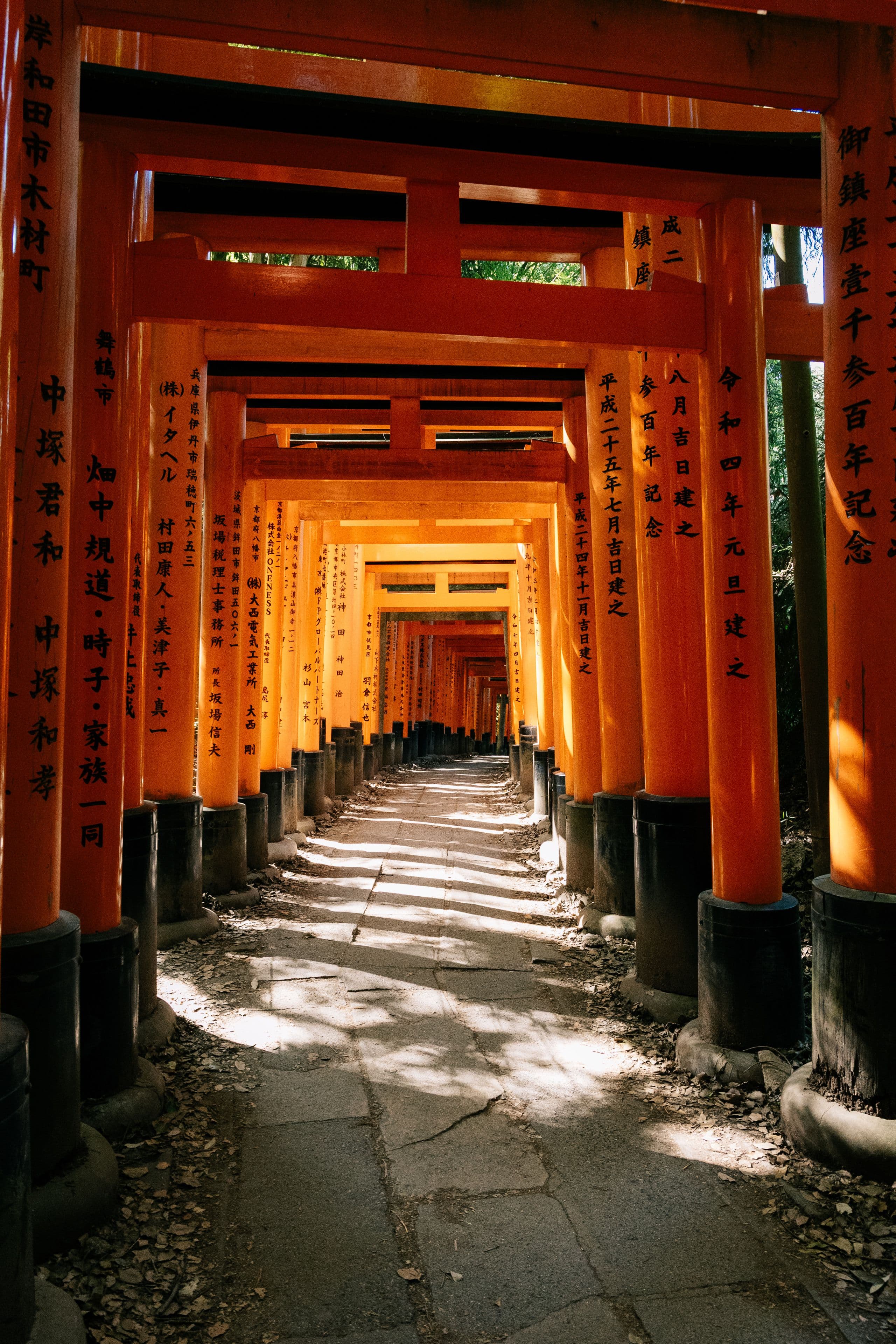 Alone at Fushimi Inari Taisha